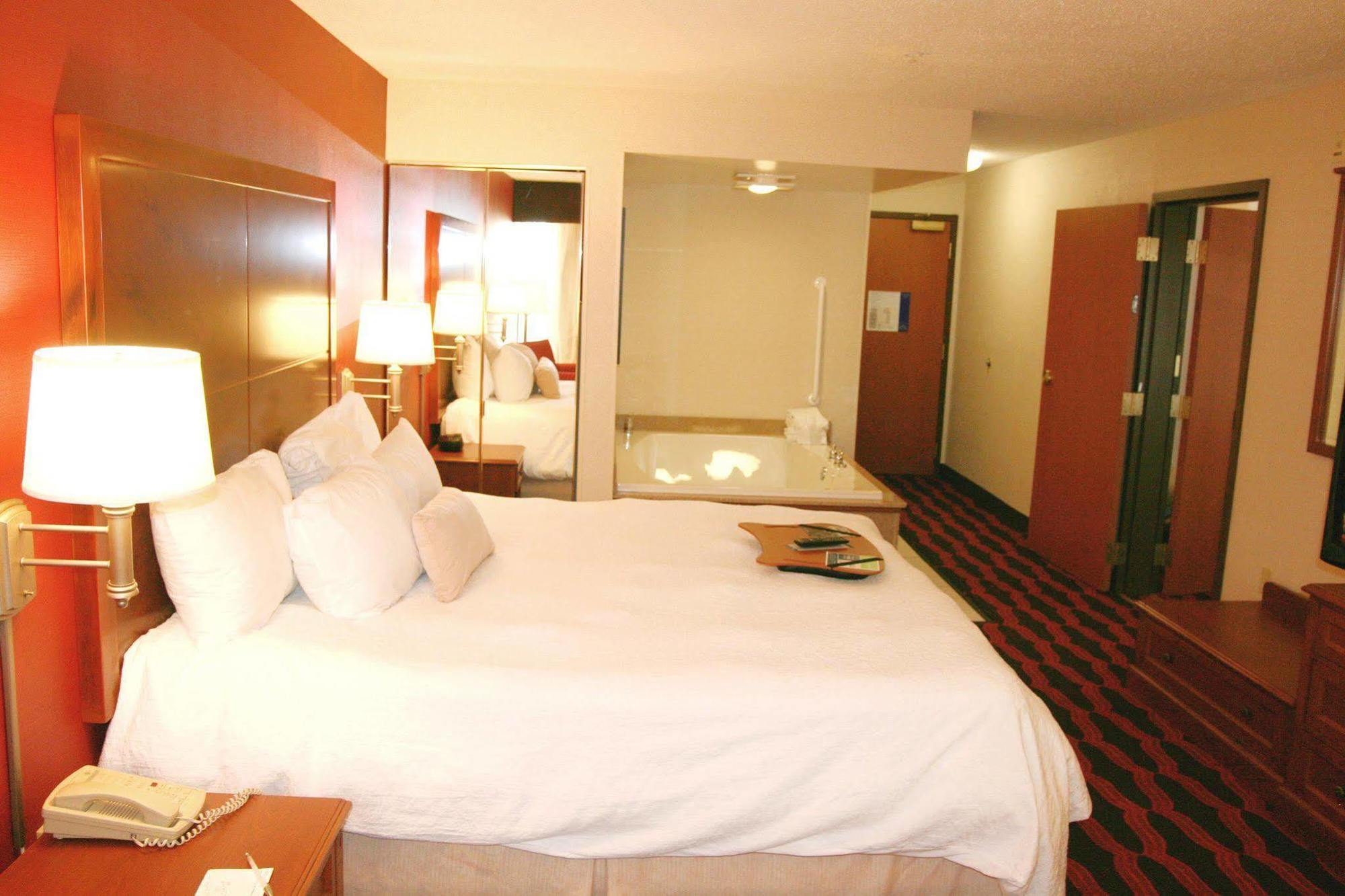 Hampton Inn & Suites East Lansing Okemos Bilik gambar